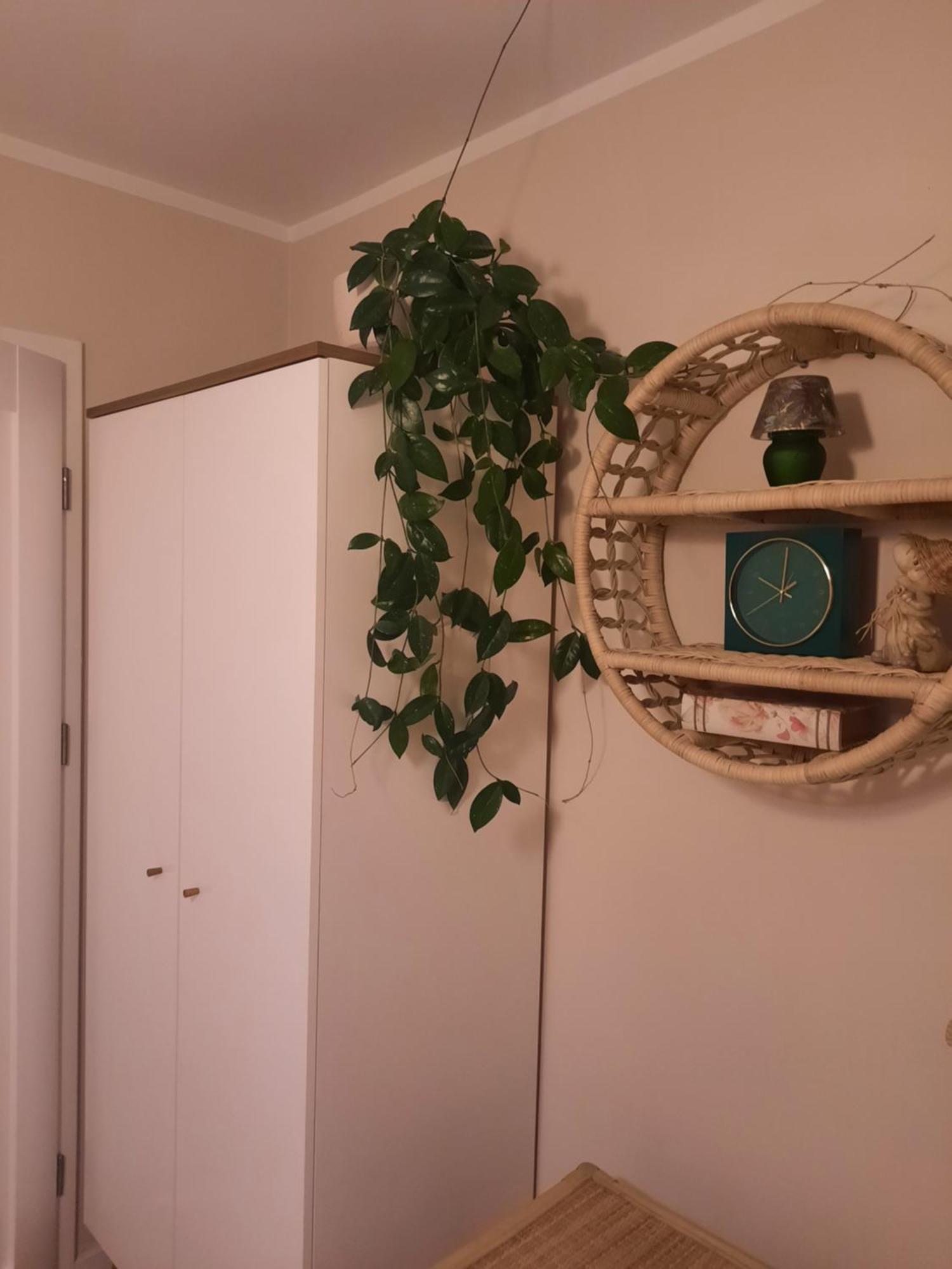 Apartament Jak W Domu Zamość Eksteriør billede