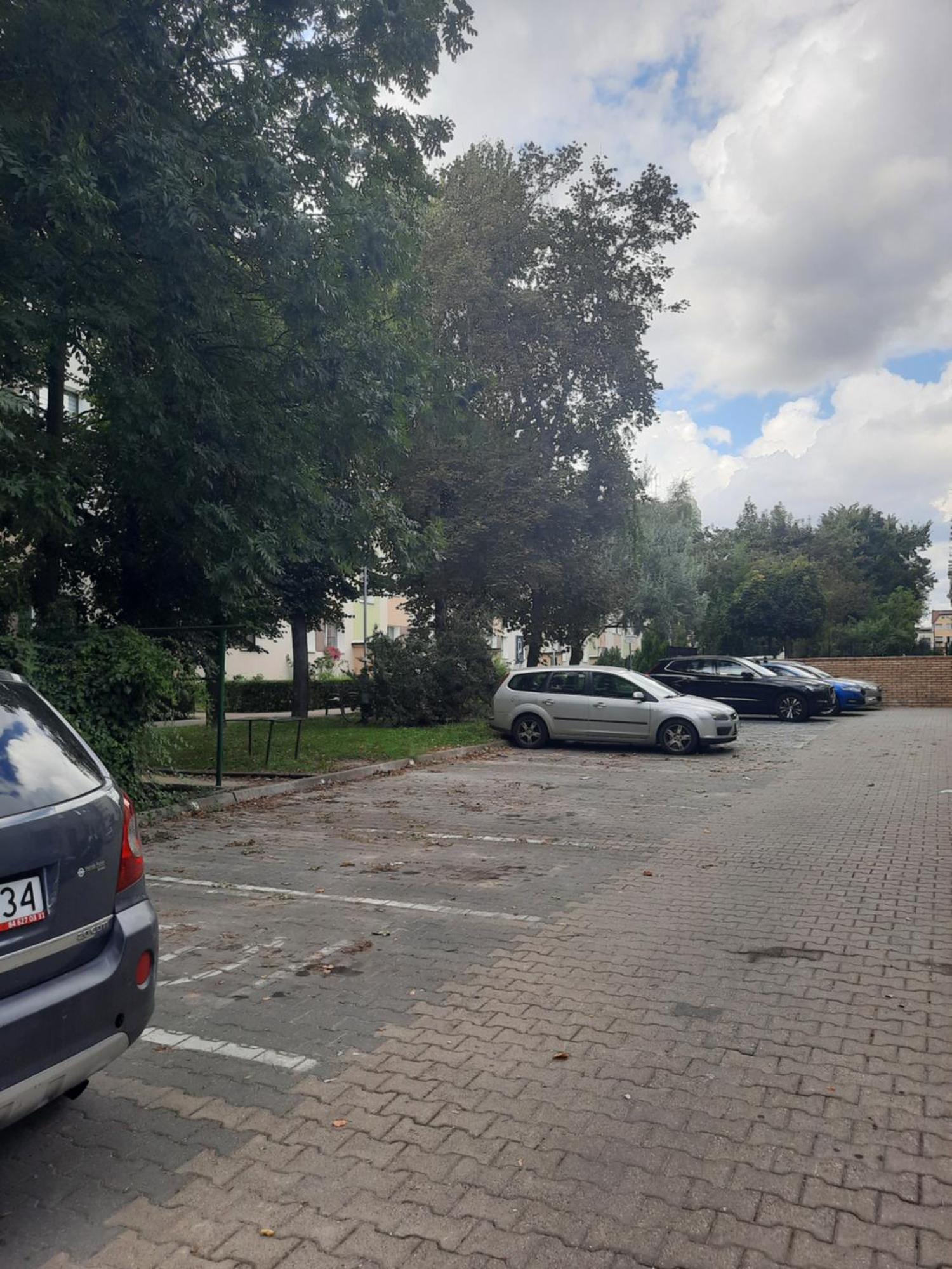 Apartament Jak W Domu Zamość Eksteriør billede