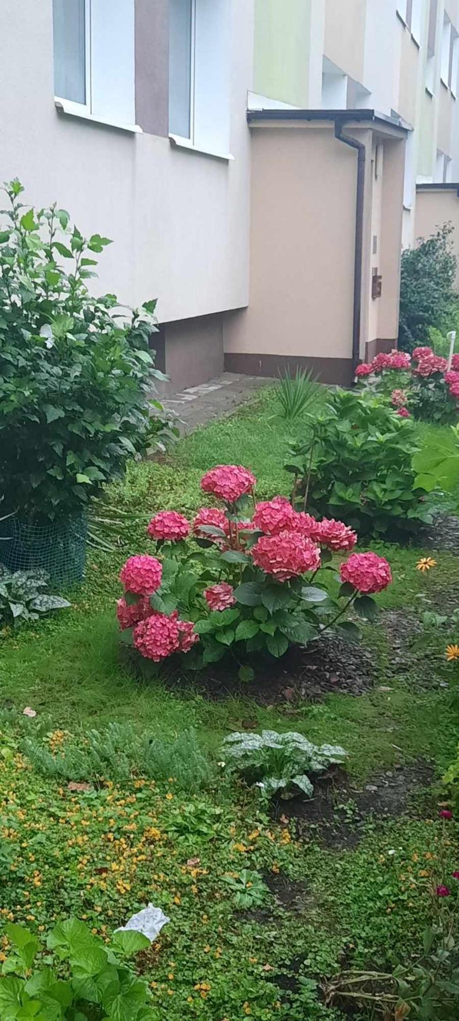 Apartament Jak W Domu Zamość Eksteriør billede